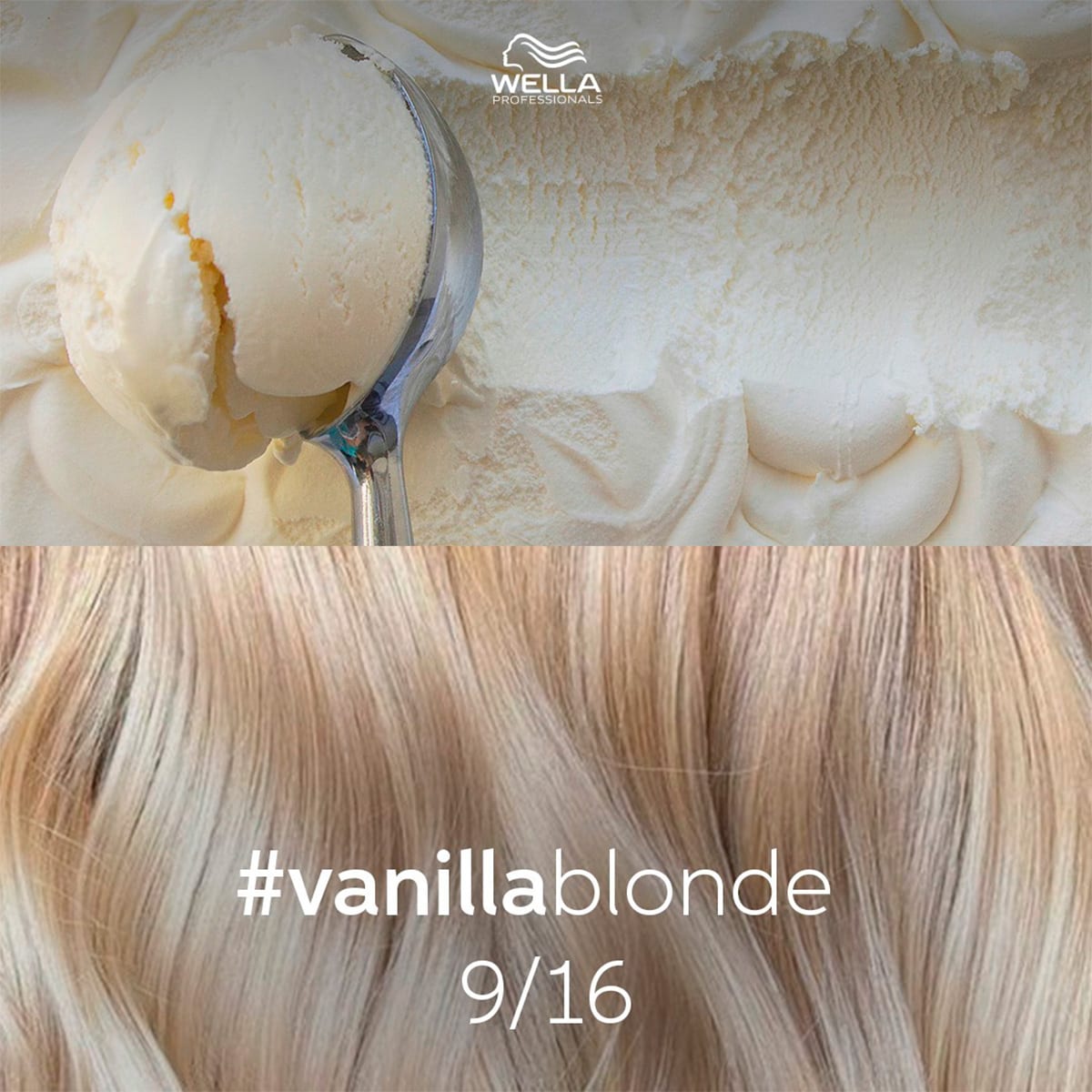 Coloration semi-permanente Color Touch